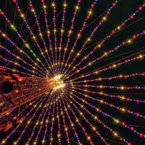 Zilker Holiday Tree - Christmas in Austin