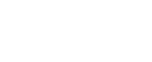 Levy Architects logo