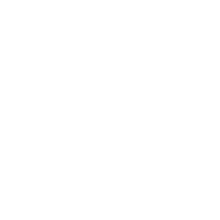 Natiivo logo